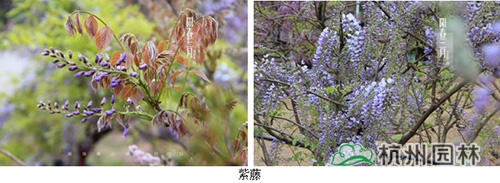 彩运网(中国游)官方网站