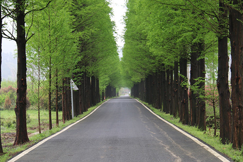 彩运网(中国游)官方网站