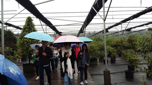 彩运网(中国游)官方网站