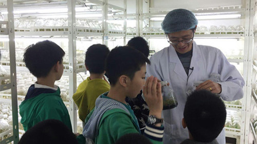 彩运网(中国游)官方网站