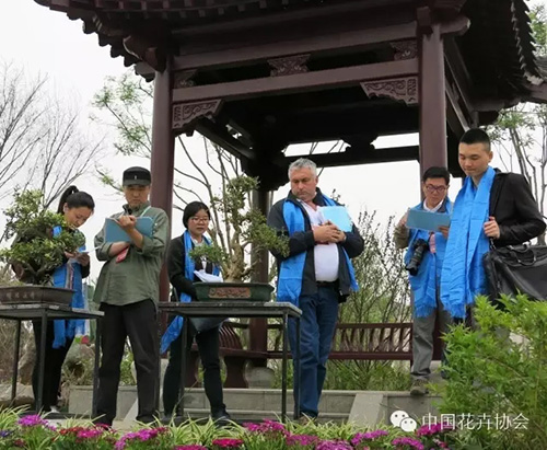 彩运网(中国游)官方网站