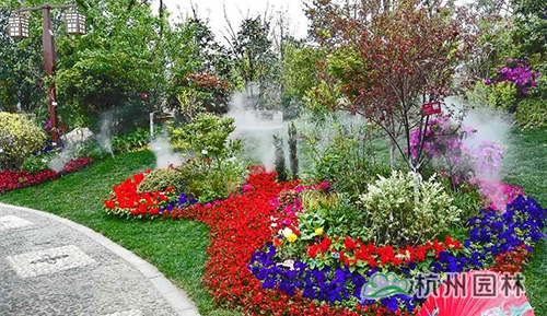 彩运网(中国游)官方网站