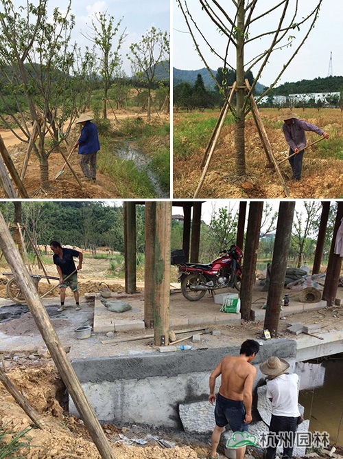 彩运网(中国游)官方网站