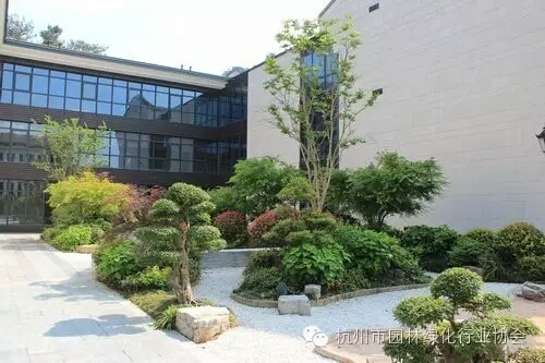 彩运网(中国游)官方网站