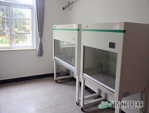 彩运网(中国游)官方网站