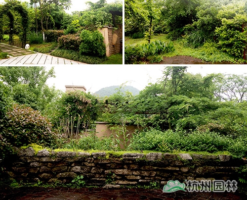 彩运网(中国游)官方网站