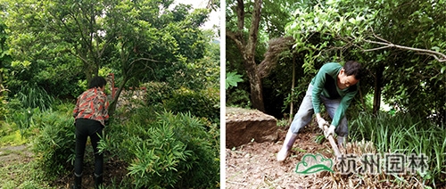 彩运网(中国游)官方网站