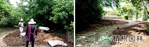 彩运网(中国游)官方网站