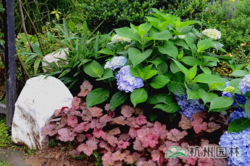 彩运网(中国游)官方网站