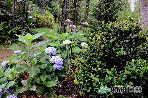 彩运网(中国游)官方网站