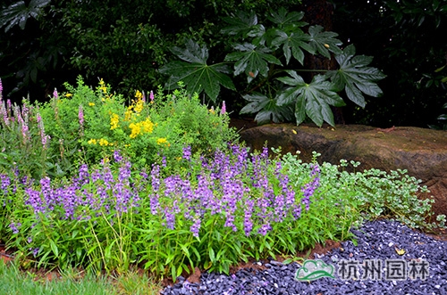 彩运网(中国游)官方网站
