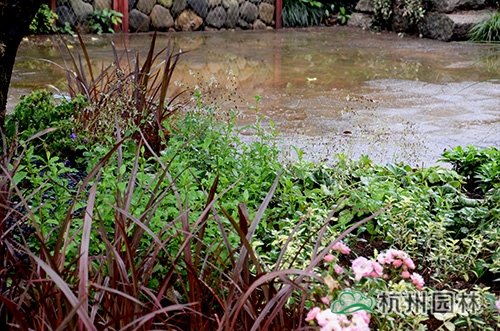 彩运网(中国游)官方网站