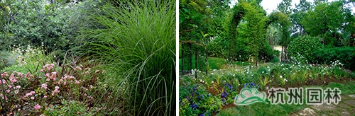 彩运网(中国游)官方网站