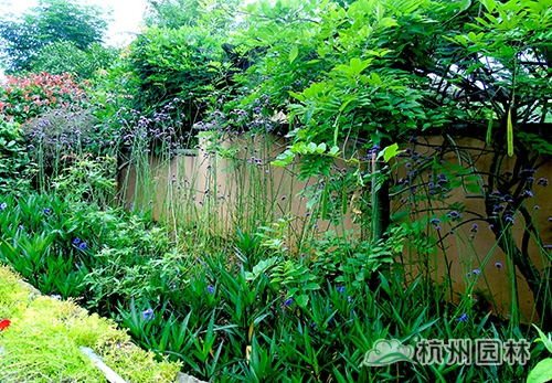 彩运网(中国游)官方网站