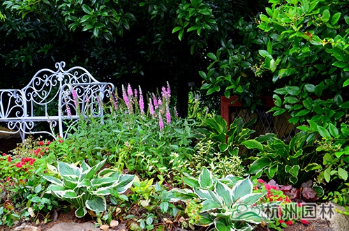 彩运网(中国游)官方网站