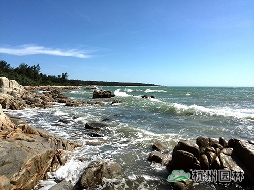 彩运网(中国游)官方网站