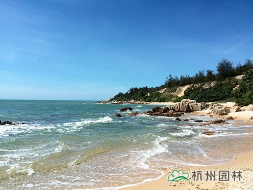 彩运网(中国游)官方网站