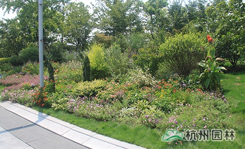 彩运网(中国游)官方网站