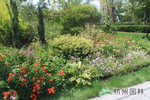 彩运网(中国游)官方网站