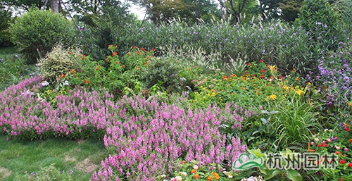 彩运网(中国游)官方网站