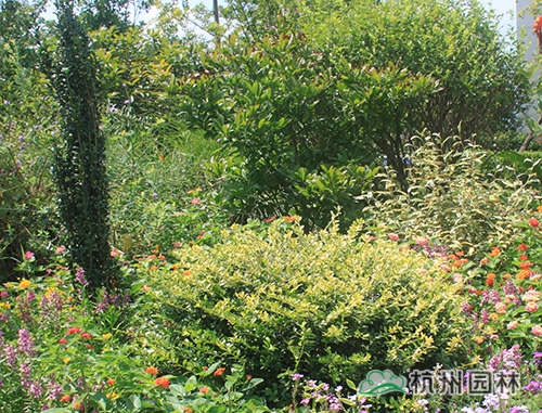 彩运网(中国游)官方网站