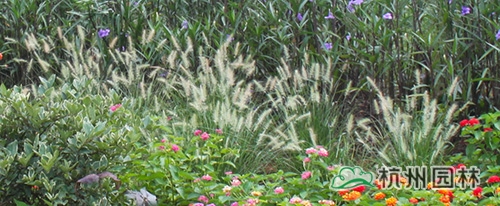 彩运网(中国游)官方网站