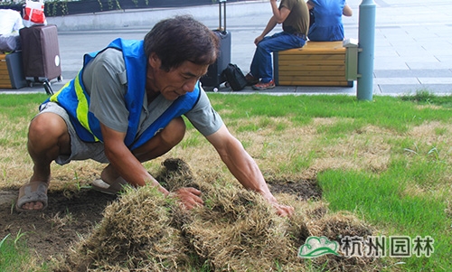 彩运网(中国游)官方网站