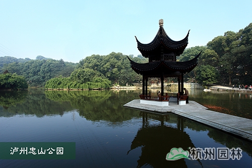 彩运网(中国游)官方网站