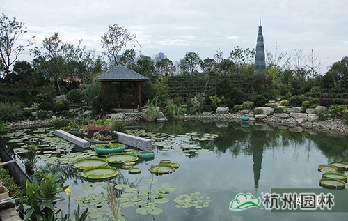 彩运网(中国游)官方网站