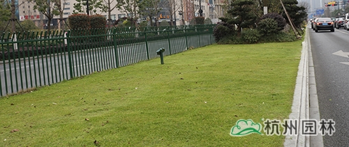 彩运网(中国游)官方网站