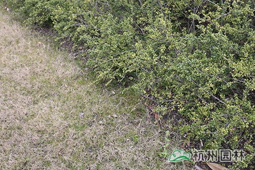 彩运网(中国游)官方网站