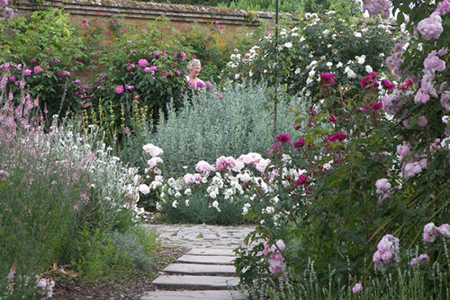 彩运网(中国游)官方网站