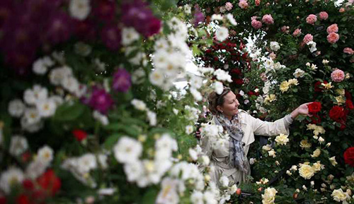 彩运网(中国游)官方网站