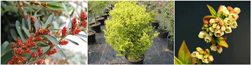 彩运网(中国游)官方网站