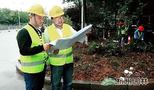 彩运网(中国游)官方网站