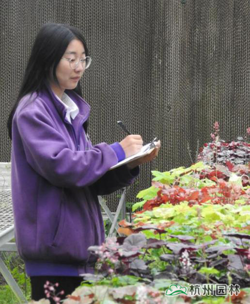 彩运网(中国游)官方网站