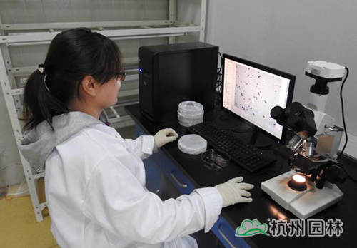 彩运网(中国游)官方网站