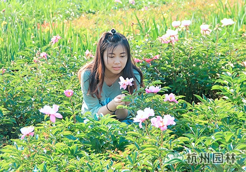 彩运网(中国游)官方网站