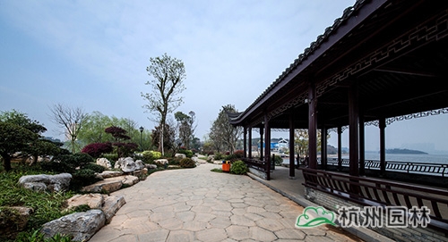 彩运网(中国游)官方网站