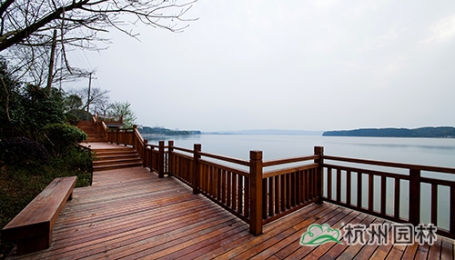 彩运网(中国游)官方网站