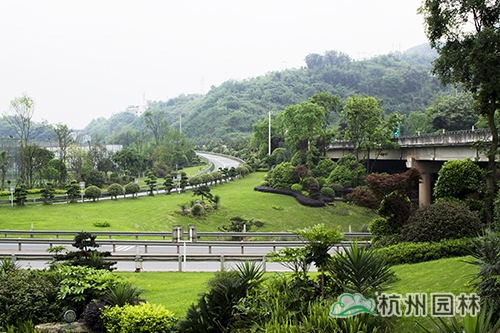 彩运网(中国游)官方网站