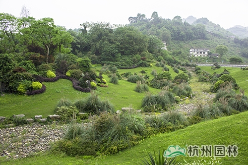 彩运网(中国游)官方网站