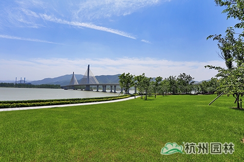 彩运网(中国游)官方网站