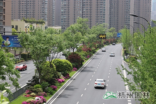 彩运网(中国游)官方网站