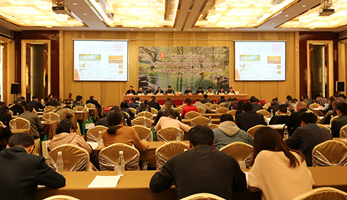 彩运网(中国游)官方网站