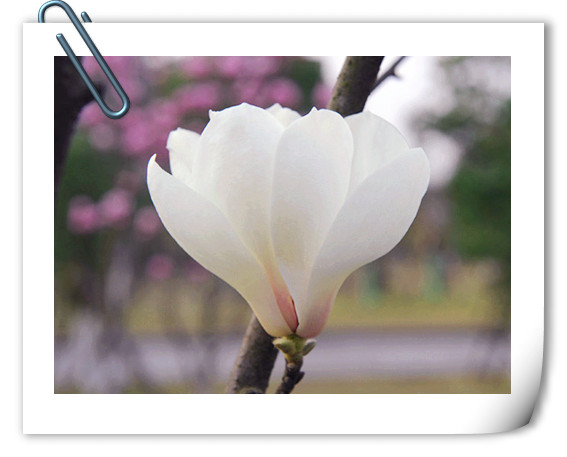 彩运网(中国游)官方网站