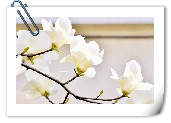 彩运网(中国游)官方网站