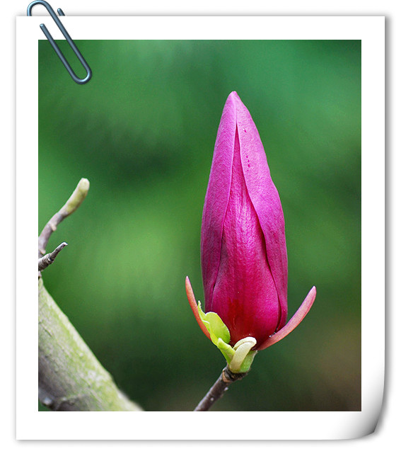 彩运网(中国游)官方网站