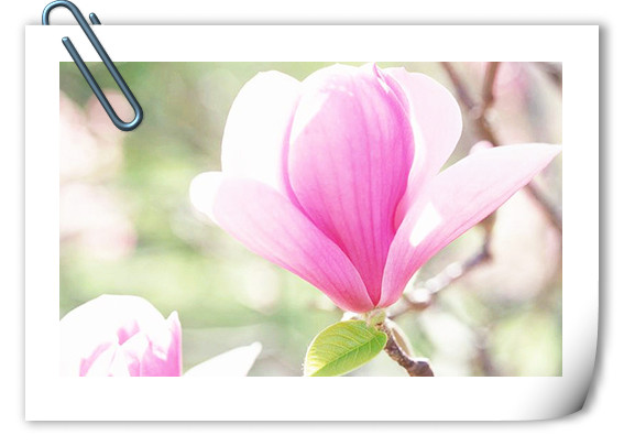 彩运网(中国游)官方网站