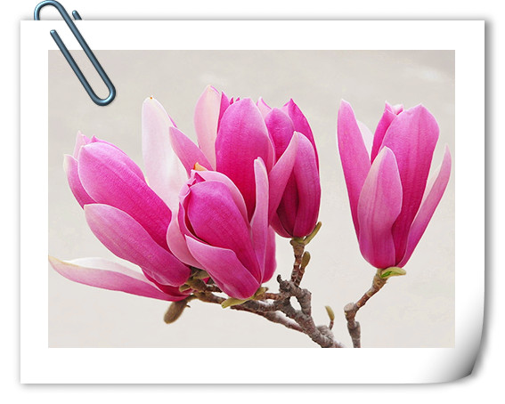 彩运网(中国游)官方网站